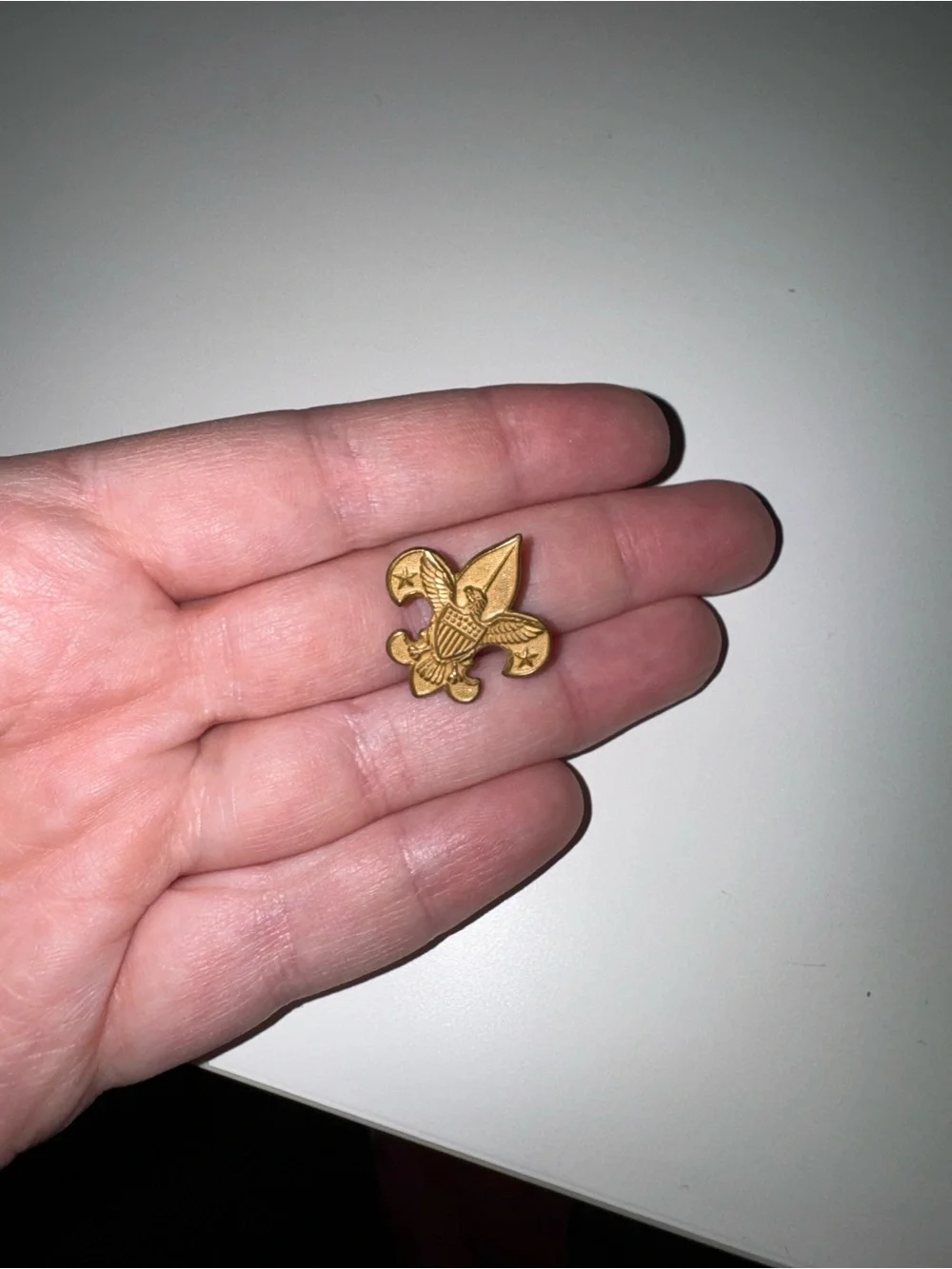 1911 Boy Scouts Pin